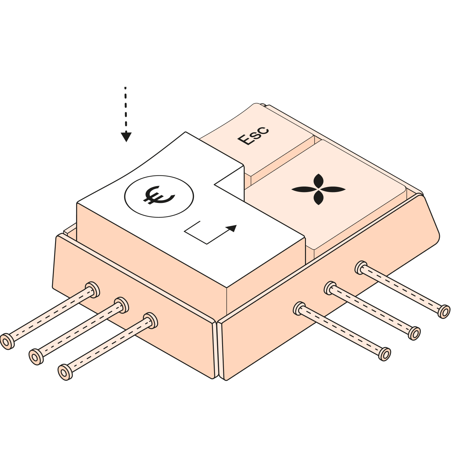 f728ce61 5e02 4bcd 8f3c 3480bde5e0f7 fr melocotón tema destacado transferencias masivas