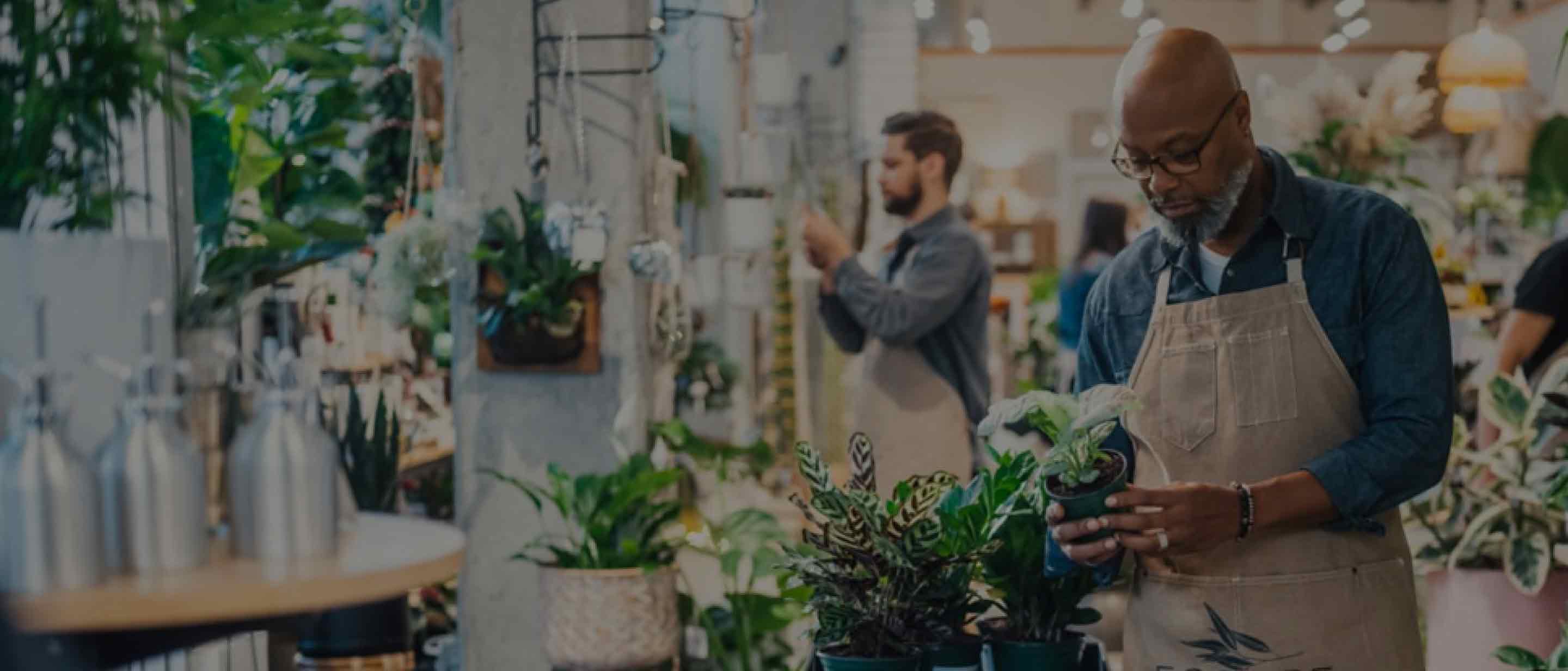 The owner of a plant shop inspects some plants before setting them out while workers straighten up the shop.