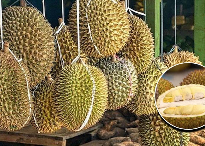 5 Ciri-ciri Durian yang Bagus, Matang, dan Rasanya Manis