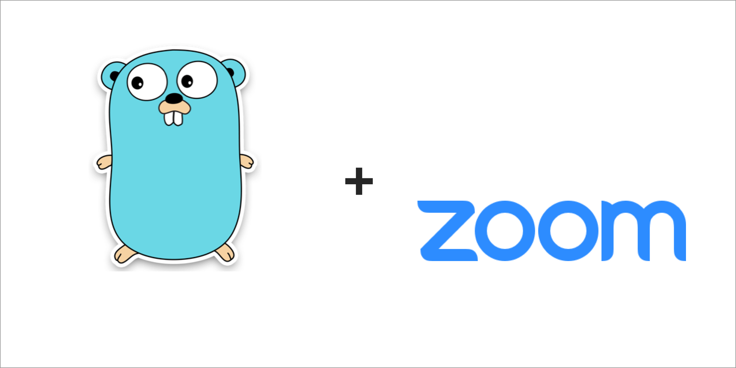 zoom-lib-golang