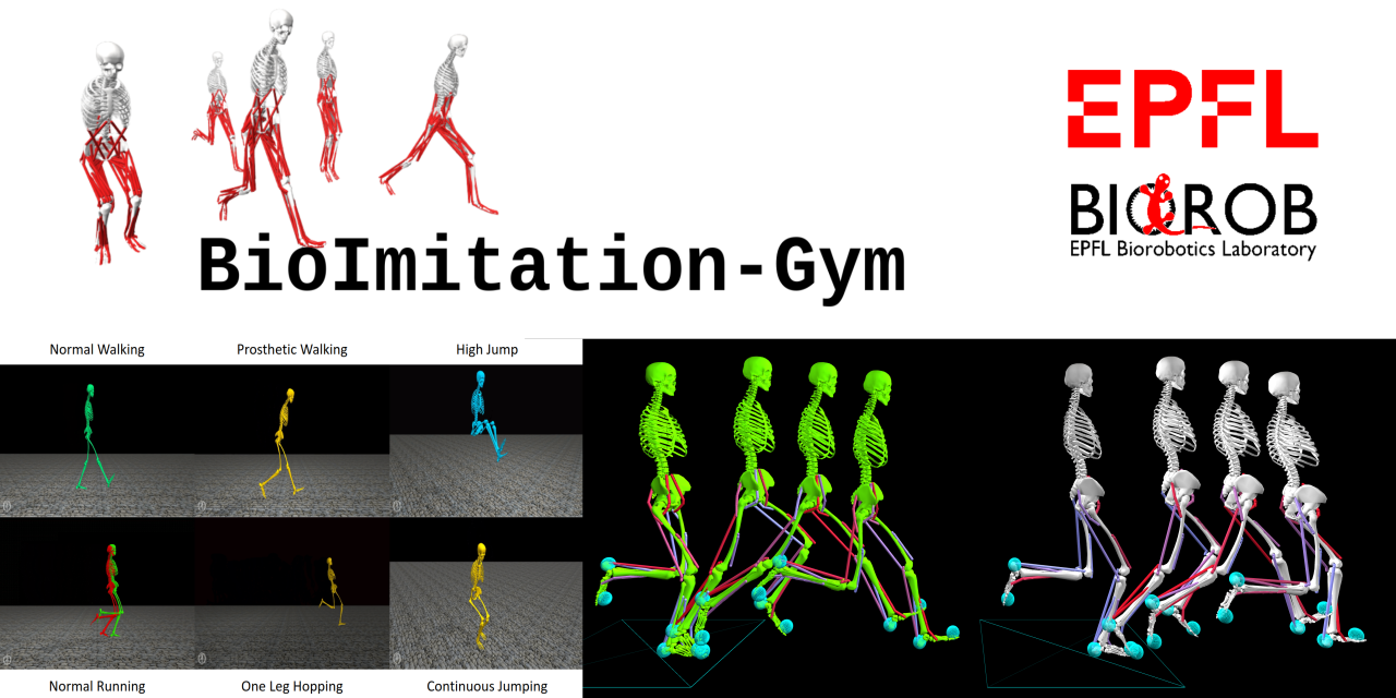 bioimitation-gym