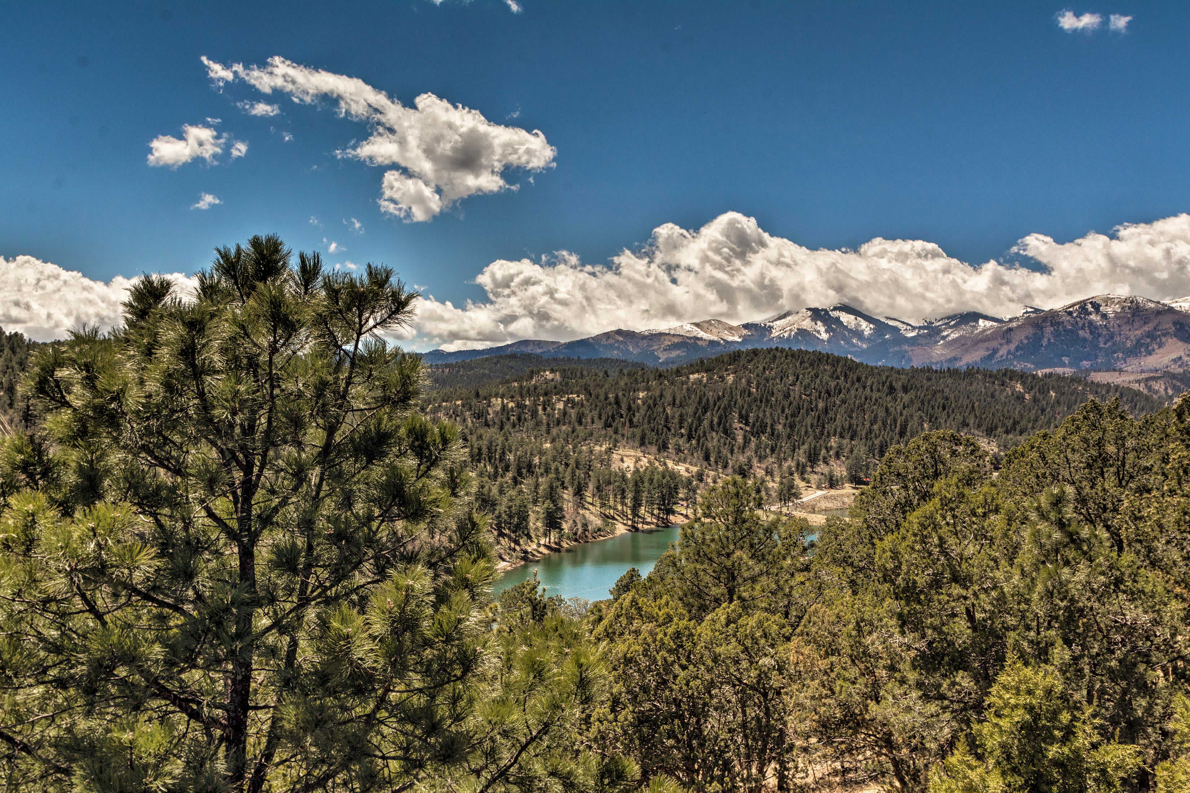 Aerial view of a green forest with a glimpse of a lake and snowy mountains in the background in Alto, NM