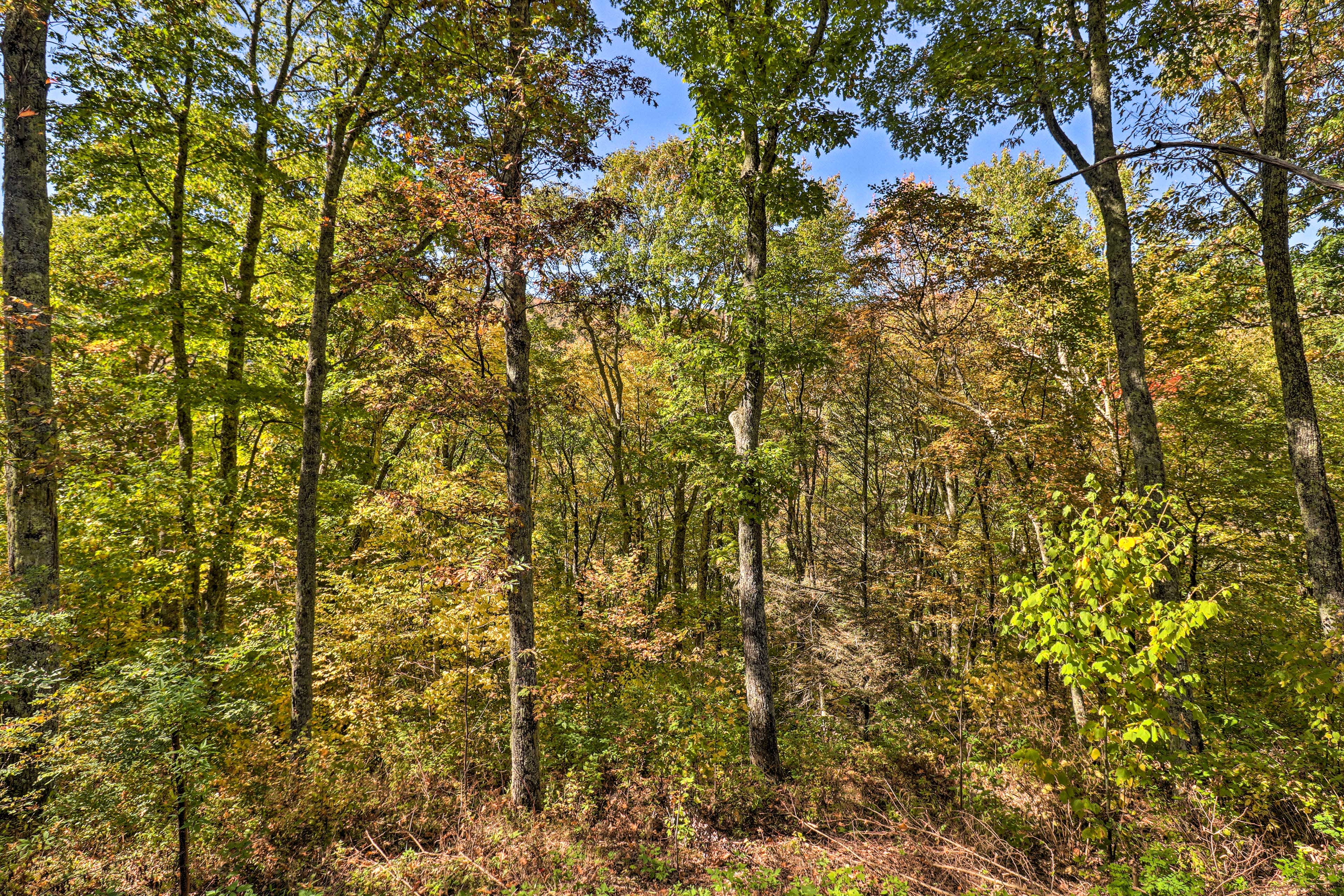 Maggie Valley