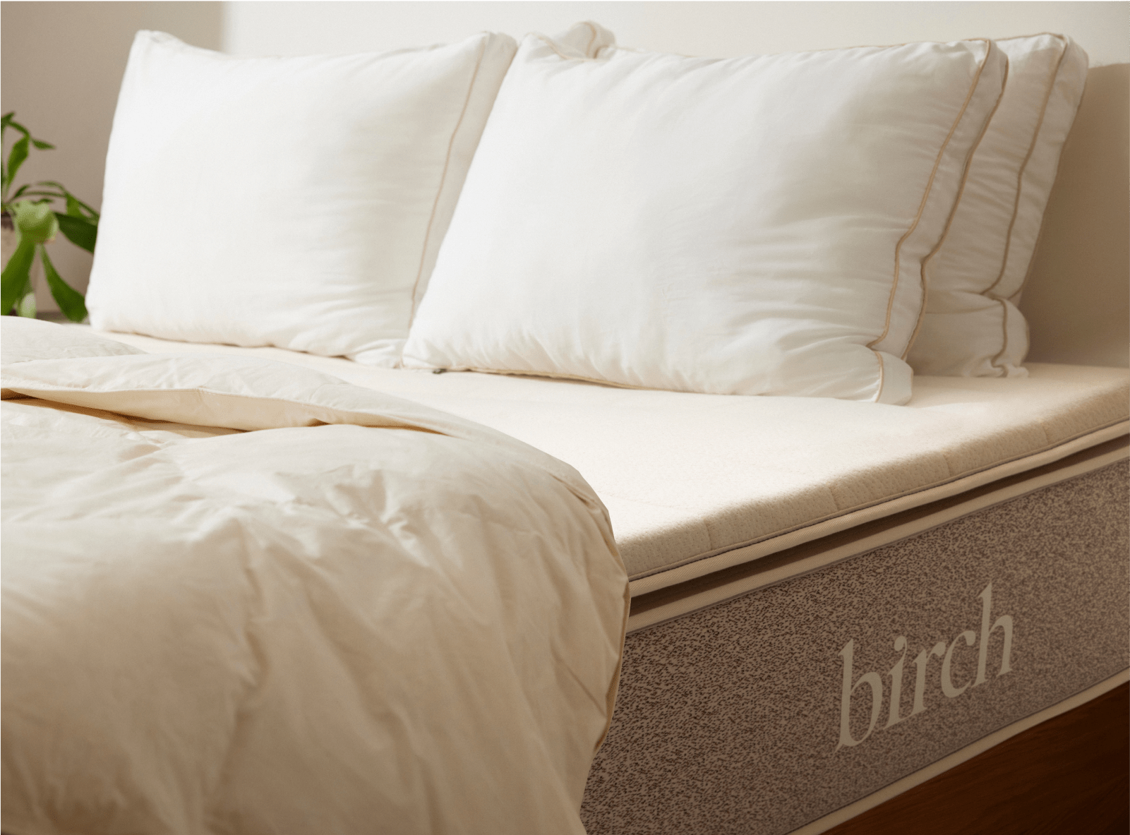 Shop the Plush Mattress Topper