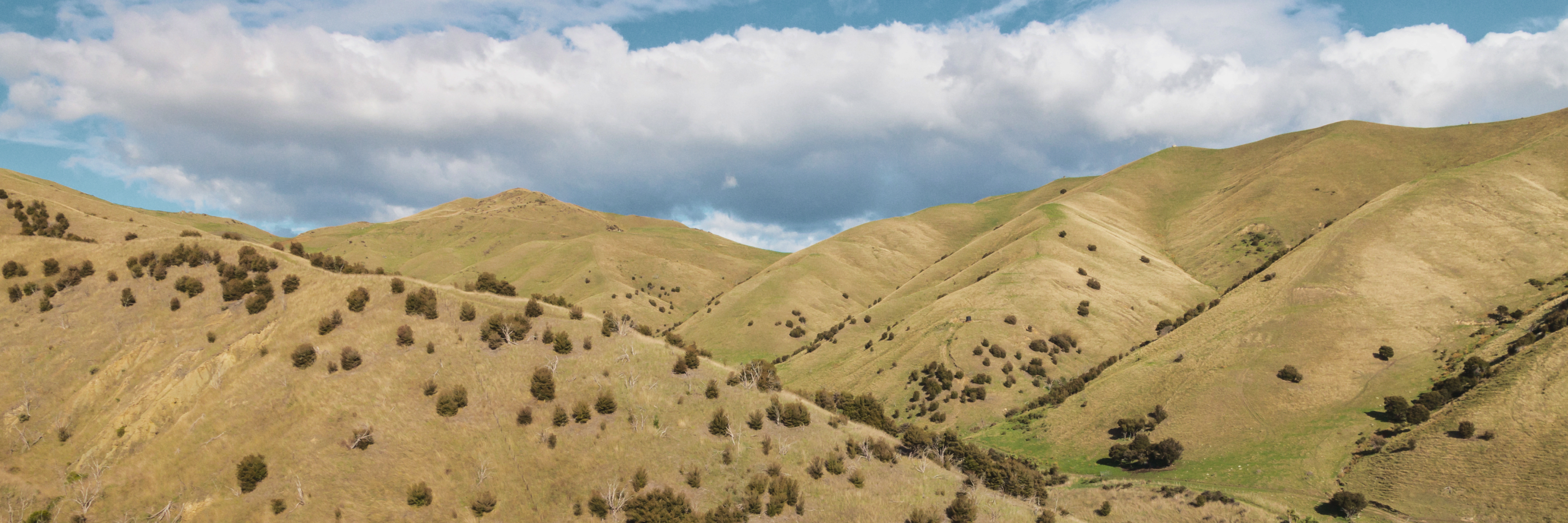 grass covered mountains with sky