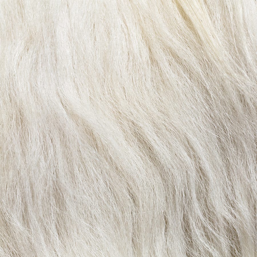 close up of goat fur for cashmere