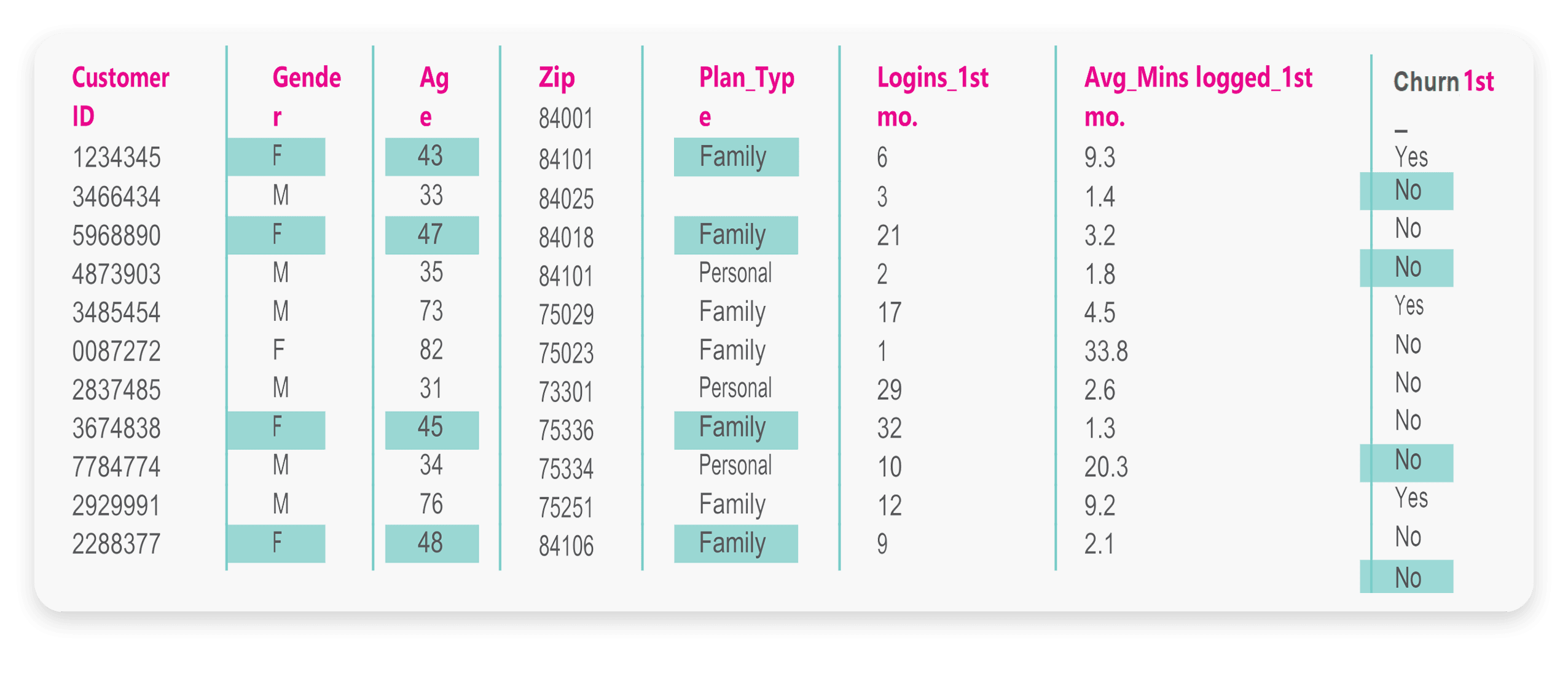 A table displaying customer data including ID, gender, age, zip code, plan type, logins in the first month, average minutes logged in the first month, and first month churn status.