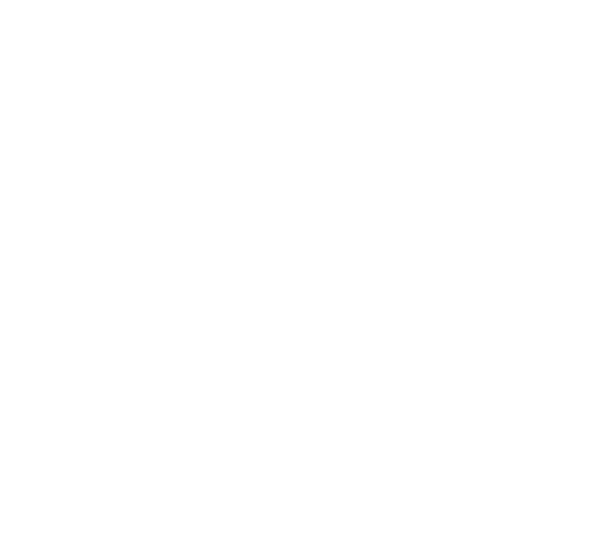 SF Supply Chain China company logo