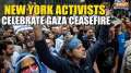 Israel-Hamas Ceasefire Deal: Activists rally in New York, feeling victory as it gives hope to Gaza