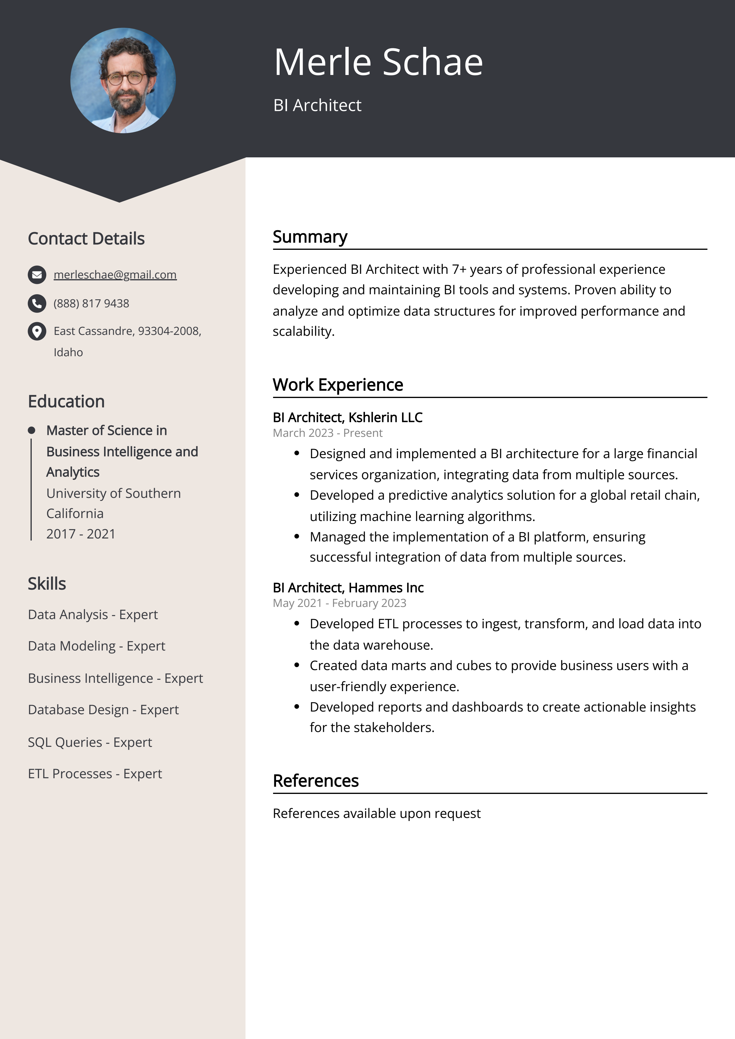 BI Architect Resume Example