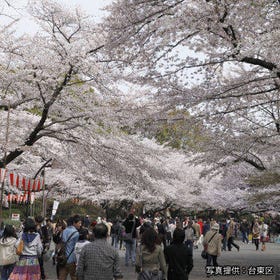 上野恩賜公園