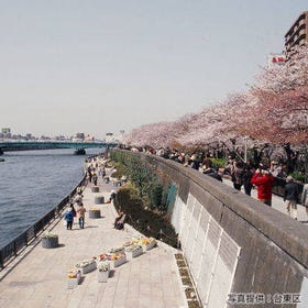 隅田公園