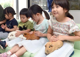 【上野動物園完全指南】人氣亮點＆美食、伴手禮及服務情報大解析