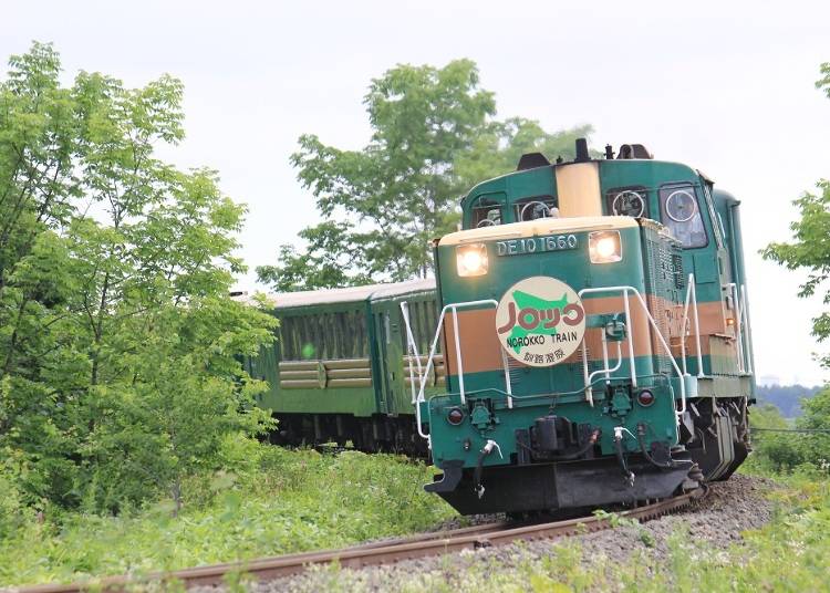 Kushiro Shitsugen Norokko Train: See the magnificent Kushiro Shitsugen Wetlands! (Seasonal limited train)