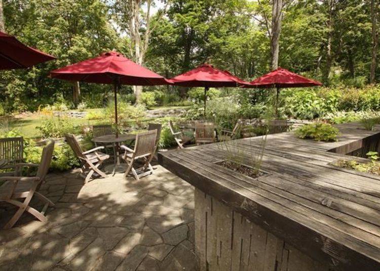 ▲ The wooden bar counter is embedded with planters. It has an awesome natural feel!