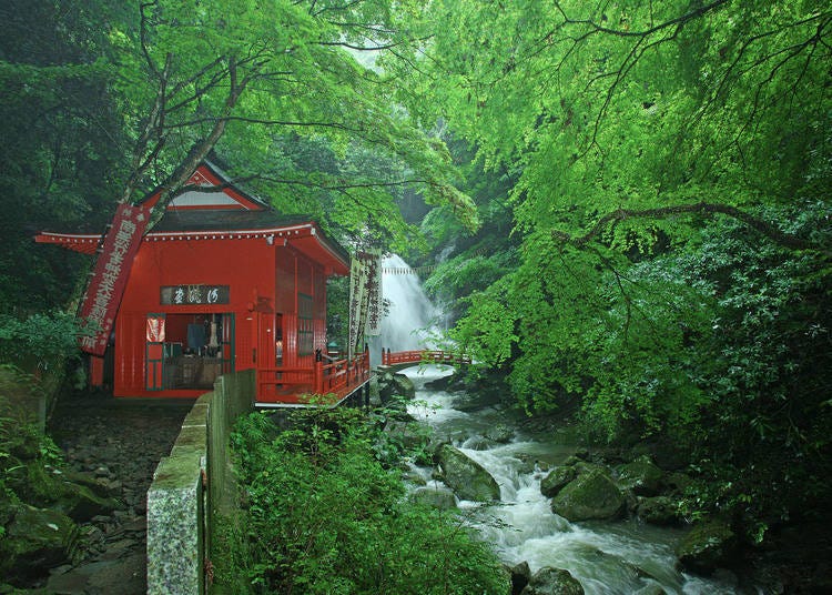 大阪近郊一日遊③因溫泉、登山健行而深受大家喜愛的秘境山林「犬鳴山」