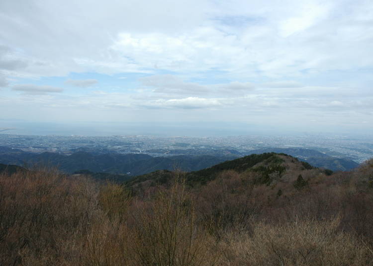 大阪近郊一日遊⑥可享受森林浴及登山踏青的絕景山林「和泉葛城山」