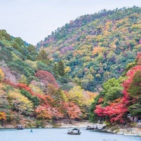 嵐山私人探索之旅
▶點擊預約
圖片提供：Klook