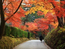 盛岡・平泉・八幡平のエリア紹介