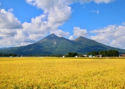 福岛・郡山・磐城的概要．历史