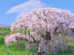 郡山周边区域