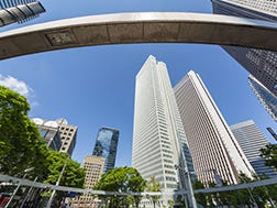 Shinjuku:Gambaran keseluruhan dan Sejarah