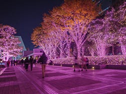 11月中旬～2月下旬　新宿テラスシティ　イルミネーション