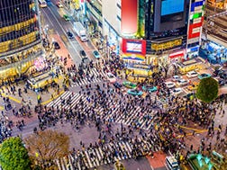 渋谷の概要・歴史