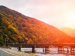 아라시야마/우즈마사의 개요・역사