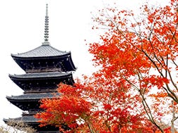 東寺周辺エリア