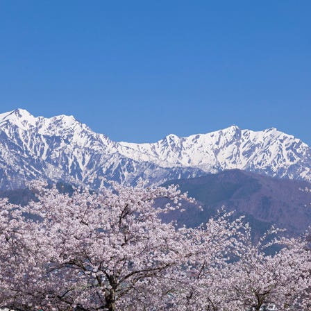 森林、山岳