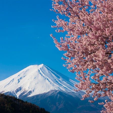 其他 自然景點