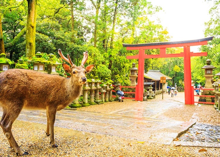 奈良・生駒・天理