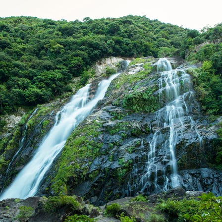 自然遺產