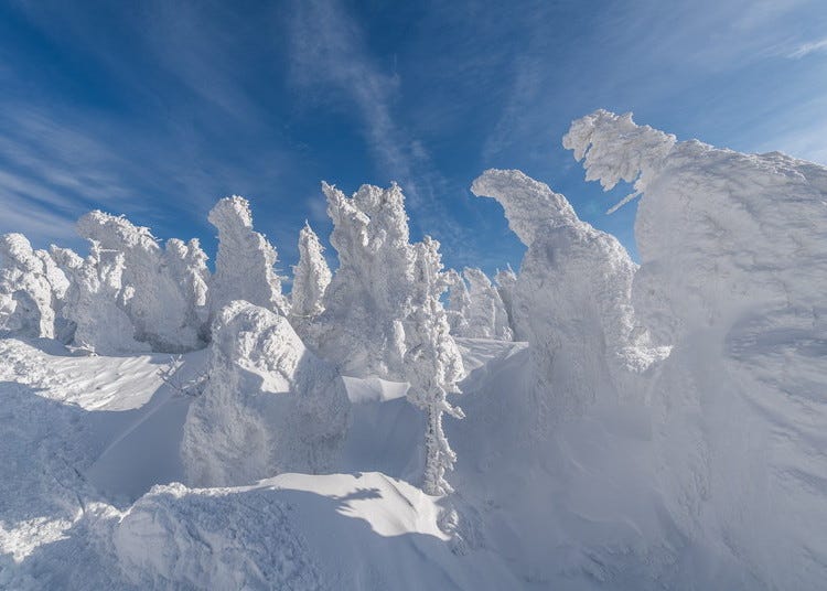 Surrounding Areas Of Yamagata