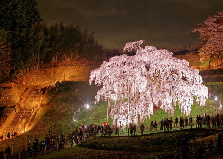 福岛・郡山・磐城