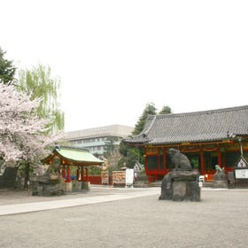 Asakusa Shrine