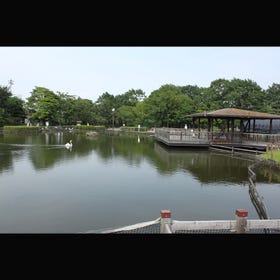 荒川自然公園