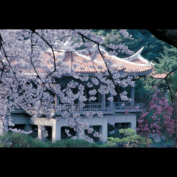 Shinjuku Gyoen National Garden