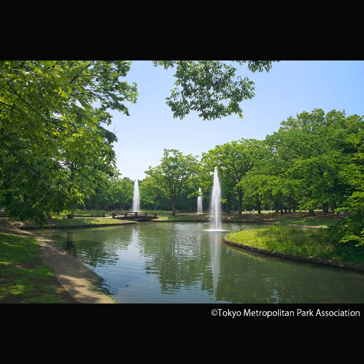 代代木公園