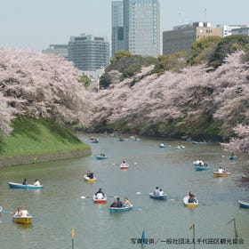 千鳥ヶ淵緑道