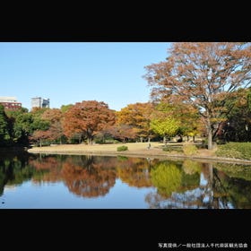 北の丸公園