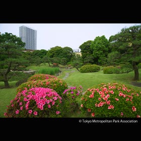 旧芝离宫恩赐庭园