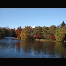 井之頭恩賜公園