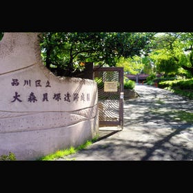 大森貝塚遺跡庭園