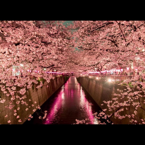 Meguro River