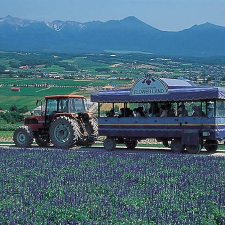 Flower Land Kamifurano