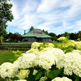 TOKACHI HILLS HOKKAIDO