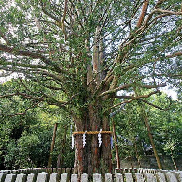 Kumano Hayatama Taisha