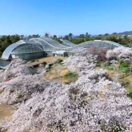 Kyoto Botanical Gardens